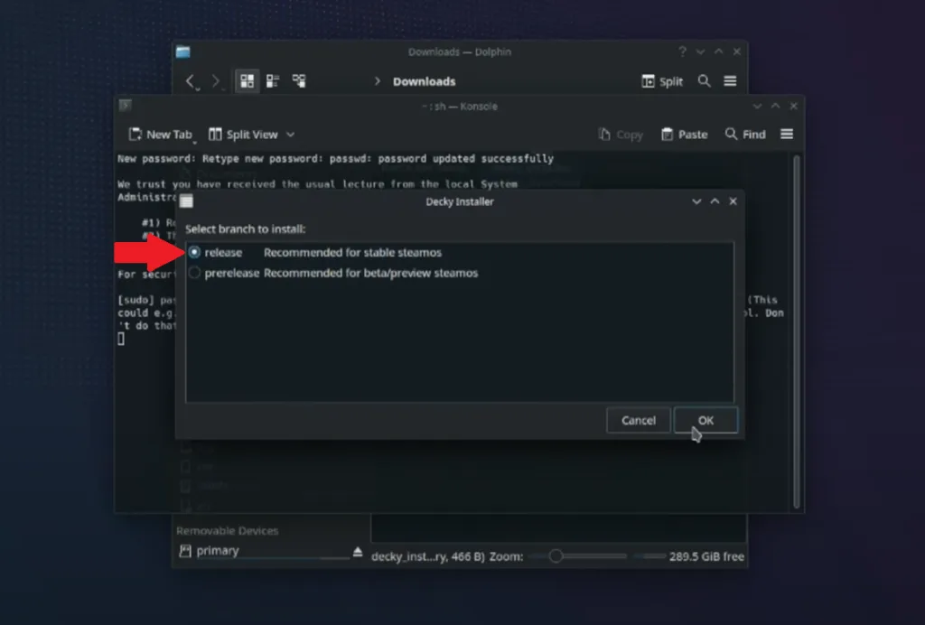 Decky Loader installation guide