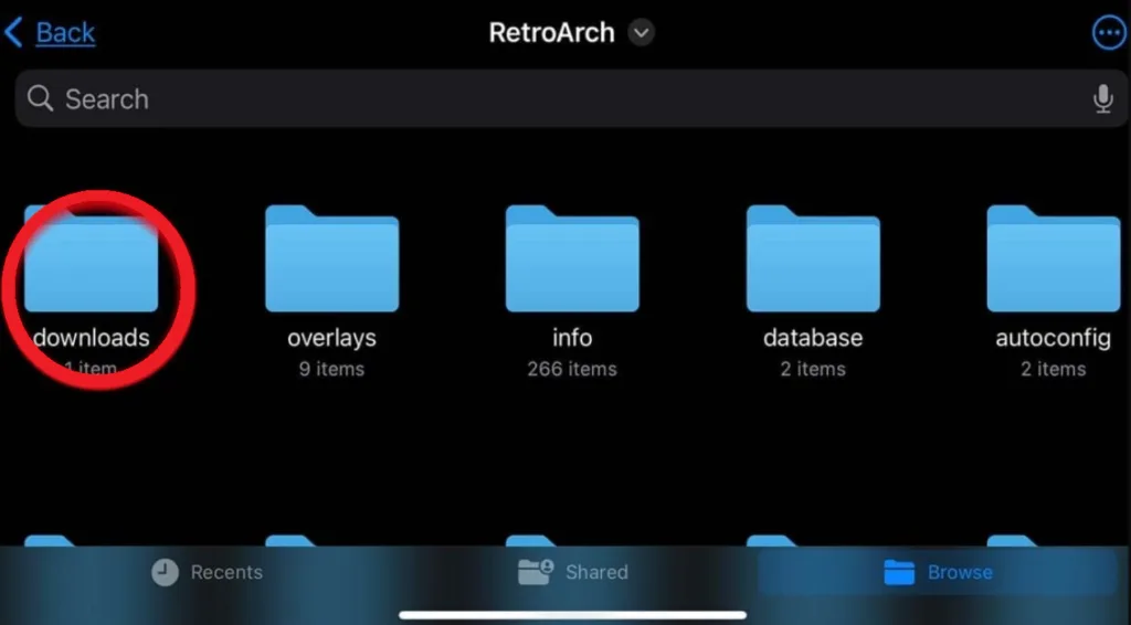 setting up roms on retroarch