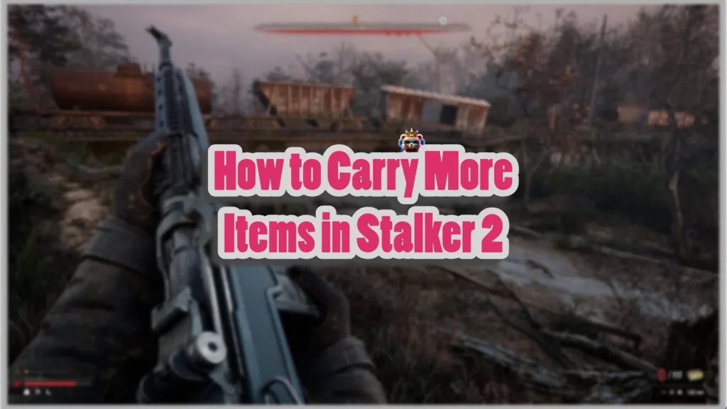 4 Ways to Increase Inventory Space in Stalker 2