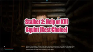 Stalker 2 Help or Kill Squint (Best Choice)