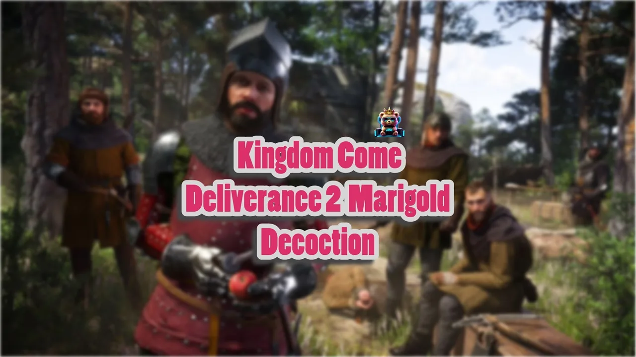 How to get marigold decoction and its recipe in Kingdom Come Deliverance 2?