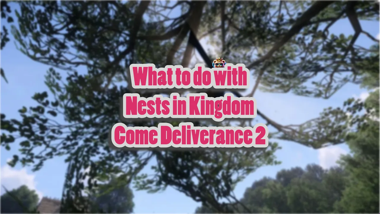 What to do with Nests in Kingdom Come Deliverance 2