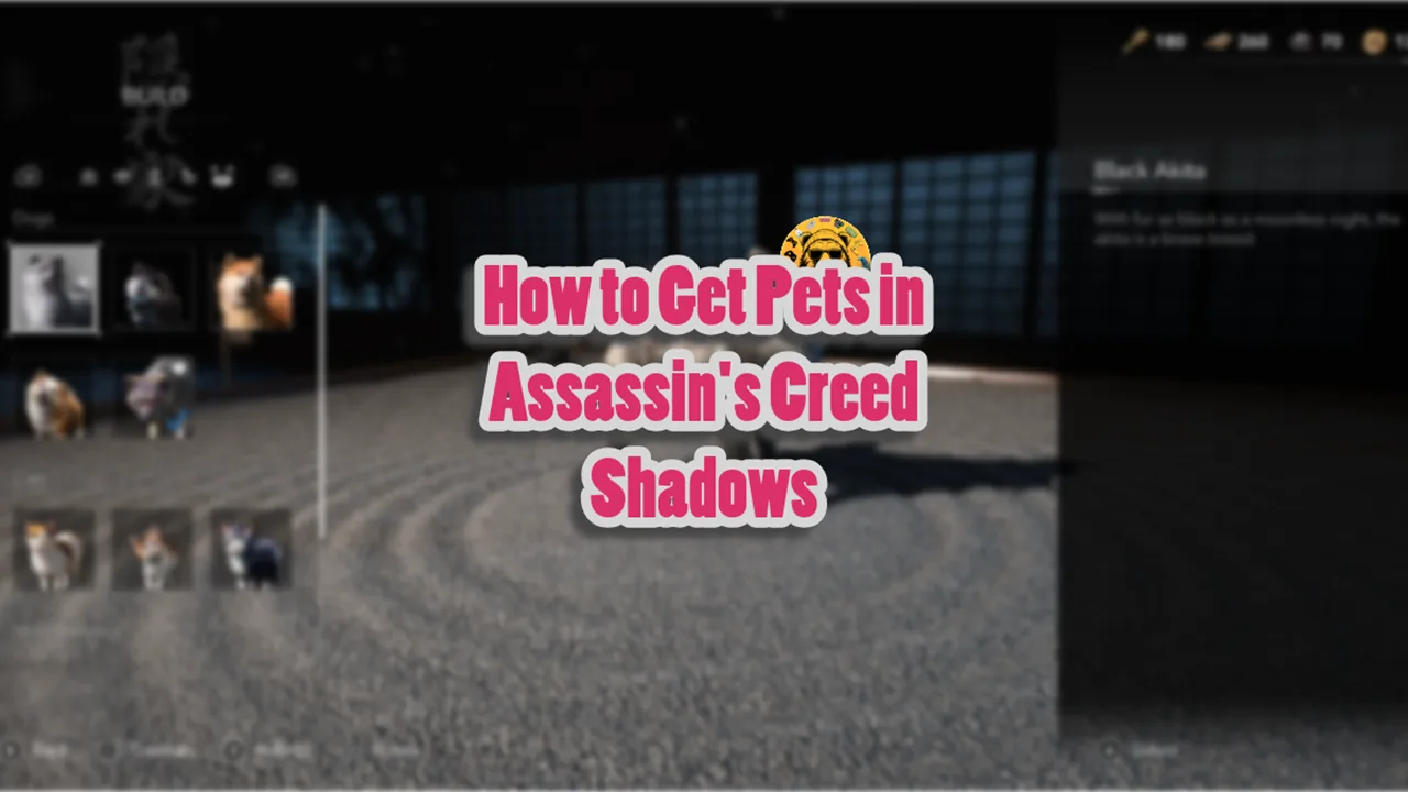 How to Get Pets in Assassin's Creed Shadows