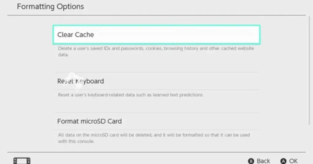 Clear Nintendo Switch Cache