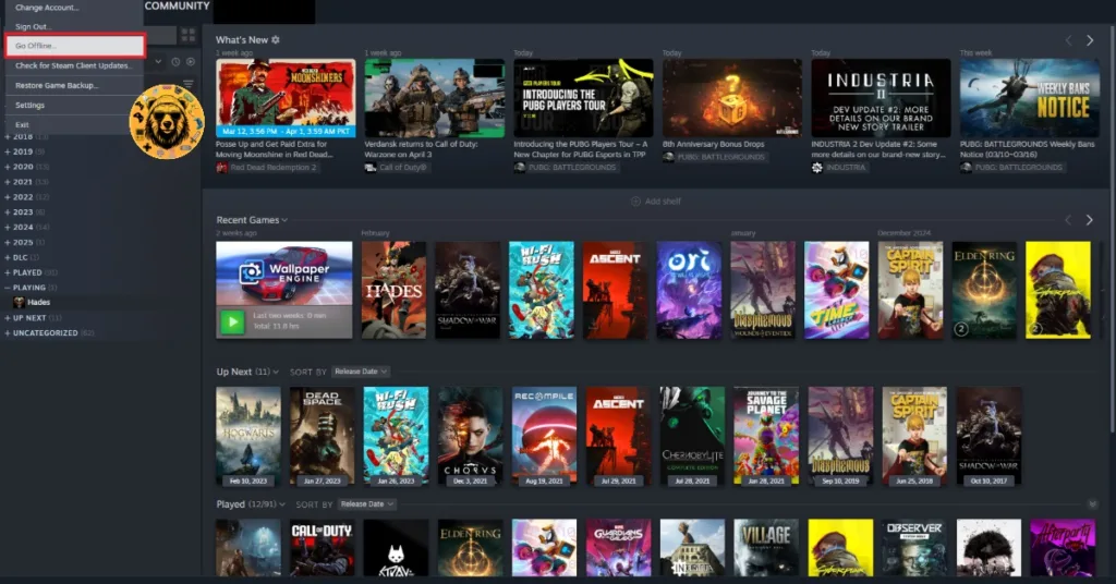 How to use Steam in offline mode?