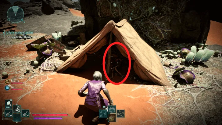 Dead Man’s Mail Treasure Map