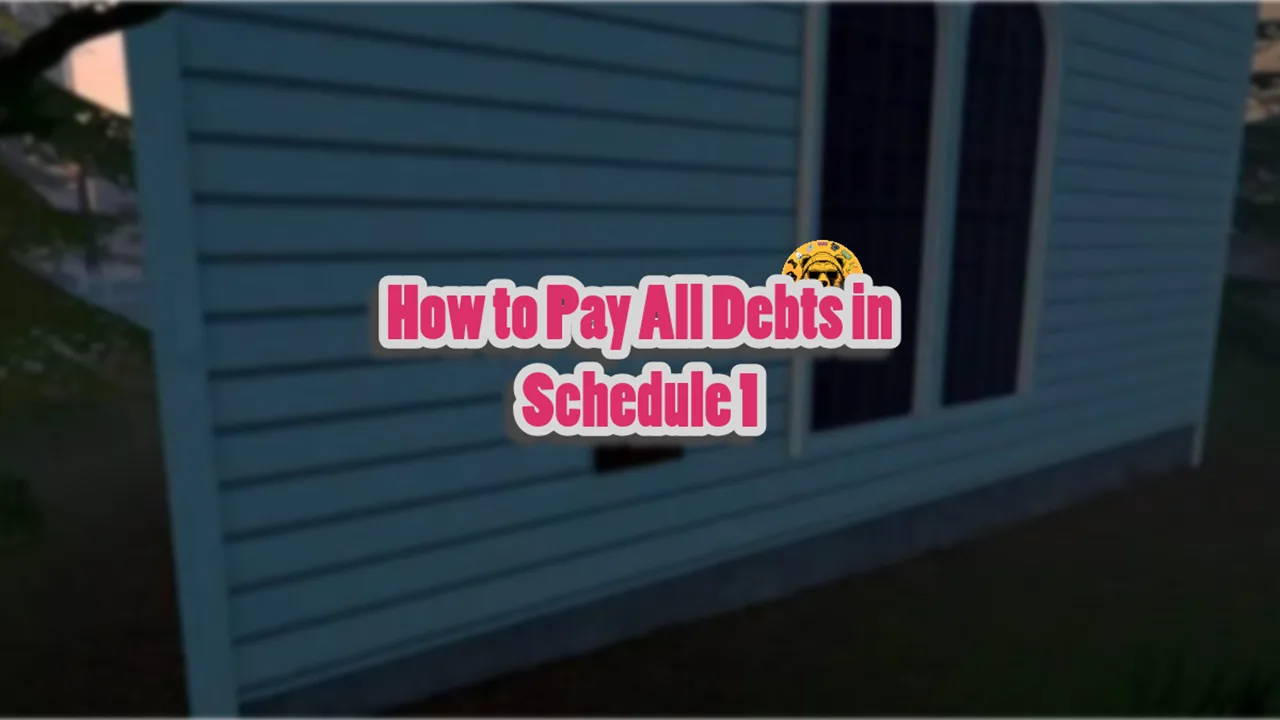 How to Pay All Debts in Schedule 1