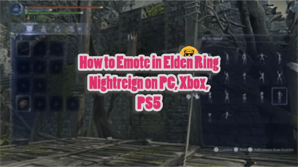 How to Emote in Elden Ring Nightreign on PC, Xbox, PS5