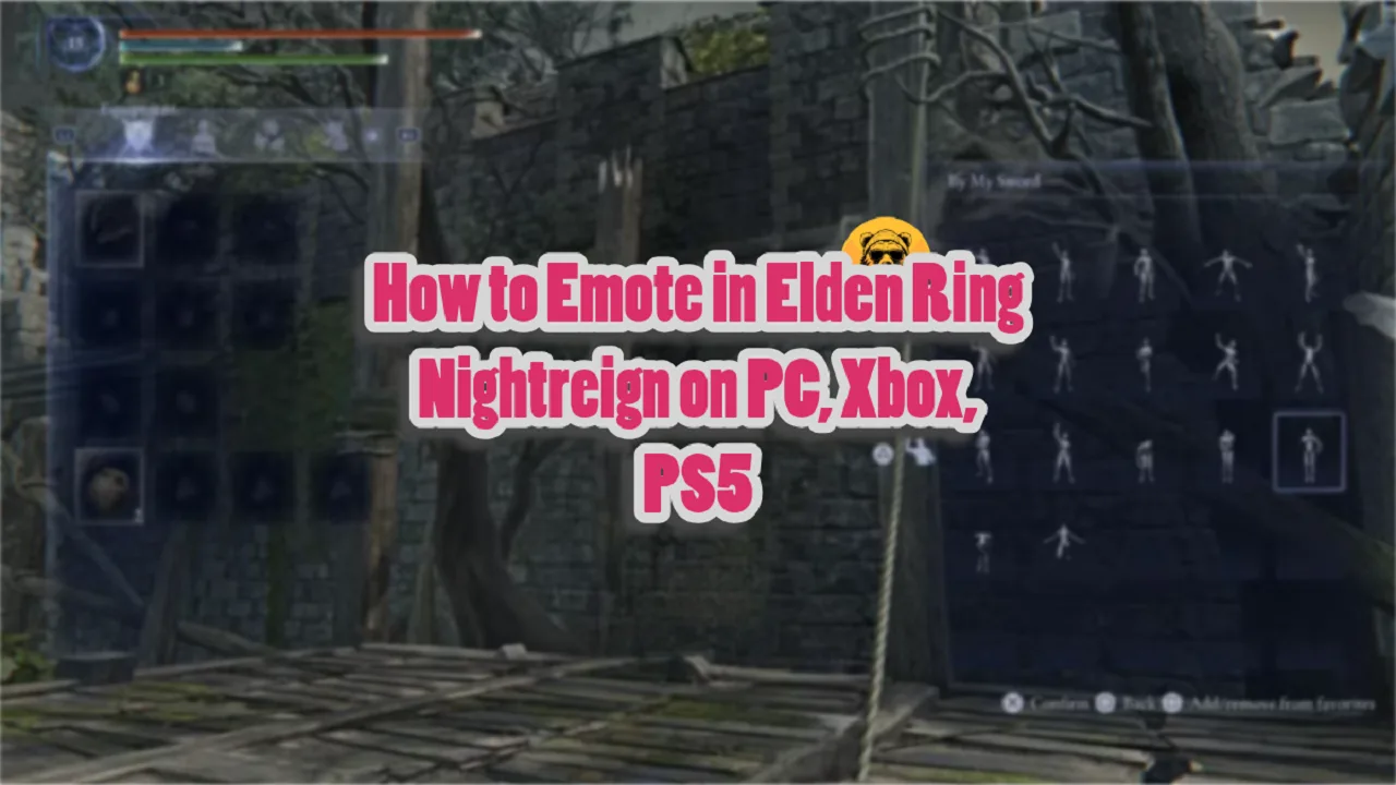 How to Emote in Elden Ring Nightreign on PC, Xbox, PS5