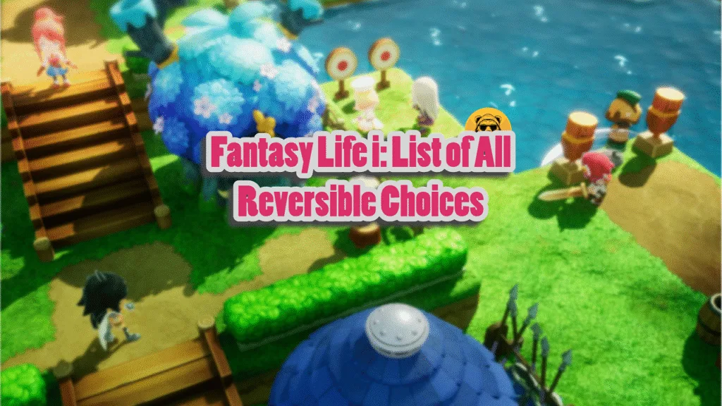 Fantasy Life i List of All Reversible Choices