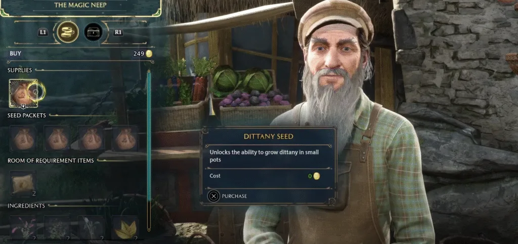 The Magic Neep Location in Hogwarts Legacy