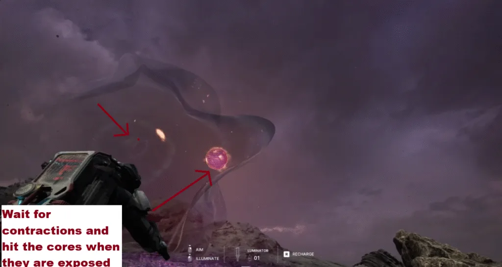 Destroy Pulsating Anomaly