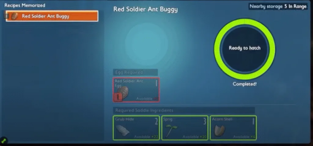 hatching red soldier ant egg