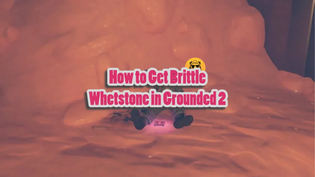How to Get Brittle Whetstone in Grounded 2