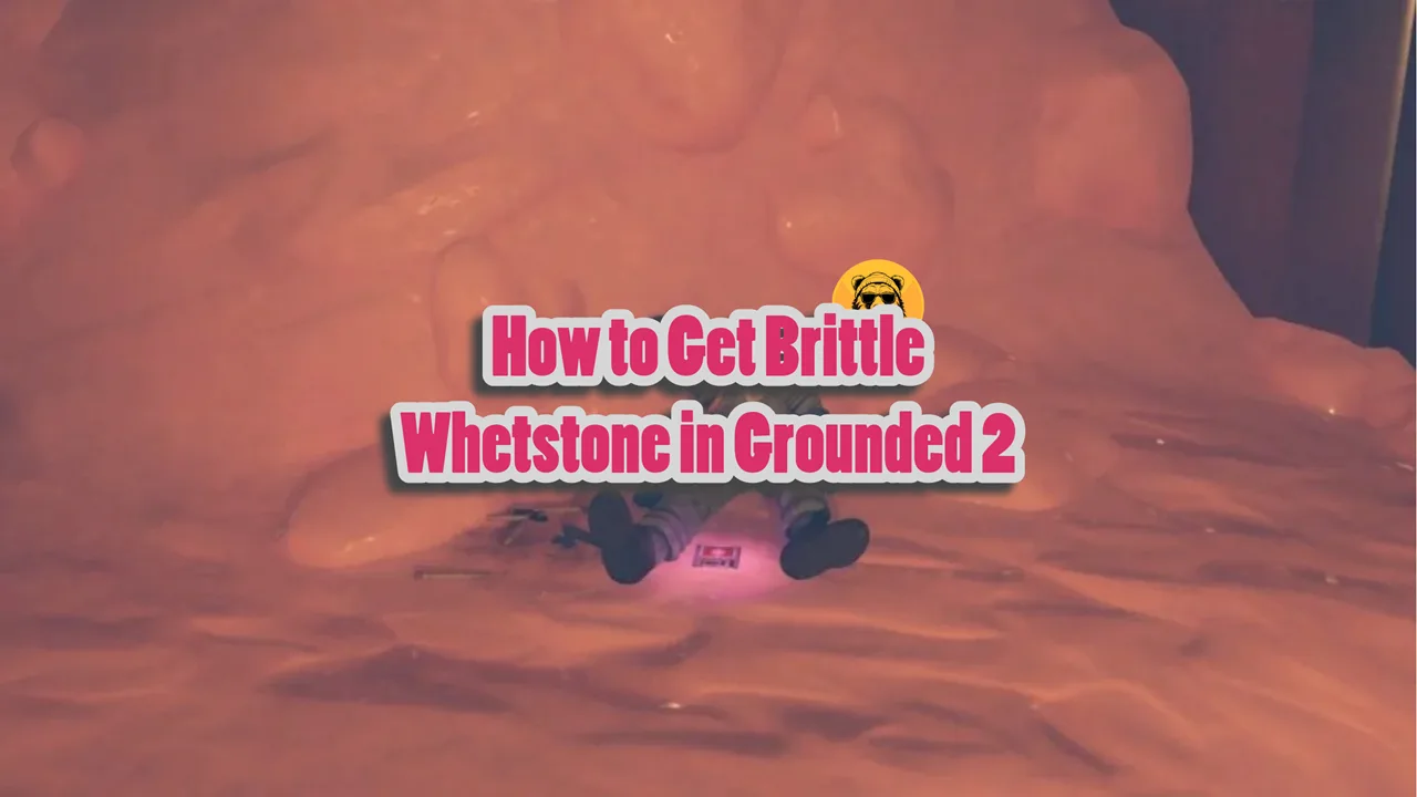 How to Get Brittle Whetstone in Grounded 2