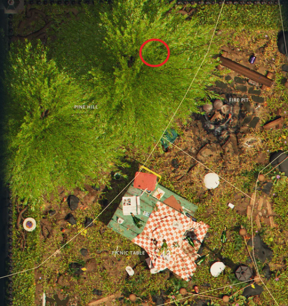 Wolf Spider Location #3