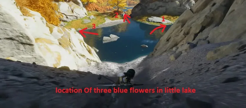 All 3 blue flower location at little lake in ghost of yotei