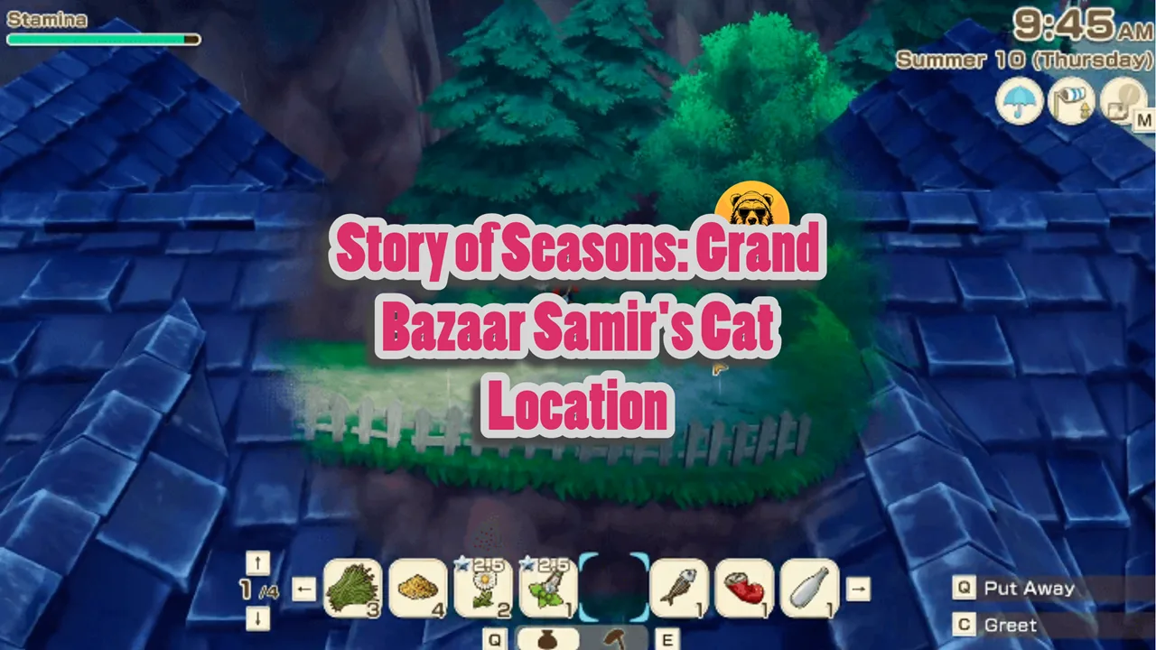 Story of Seasons Grand Bazaar Samir's Cat Location