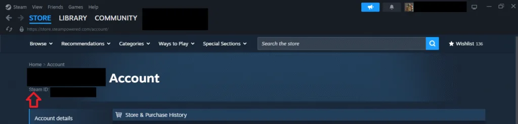 How to find my Steam ID to locate Yakuza Kiwami 3 save files?