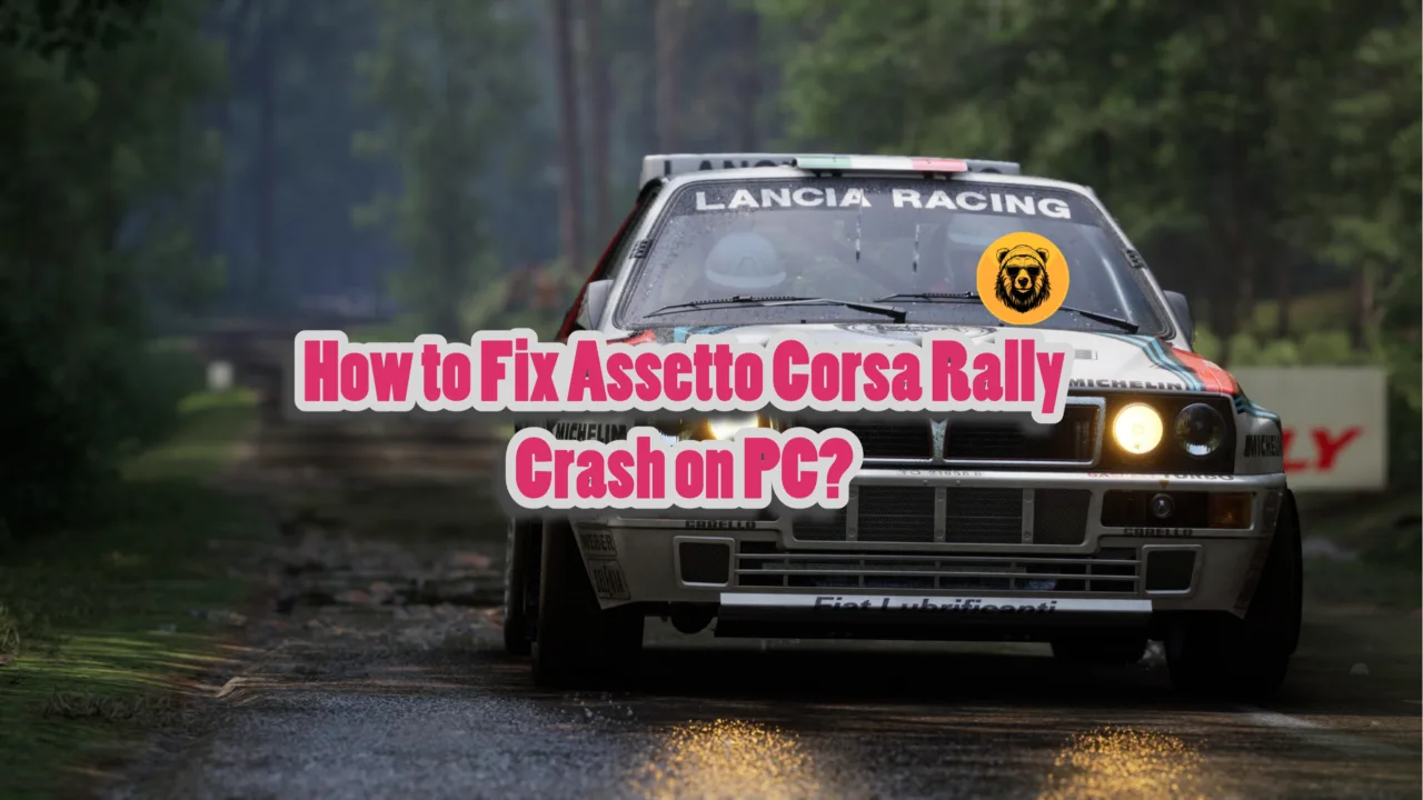 How to Fix Assetto Corsa Rally Crash on PC?